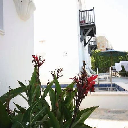Emelce Bodrum