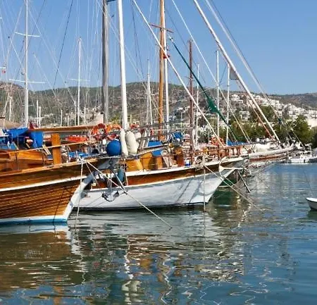 Apart Otel Emelce 3*