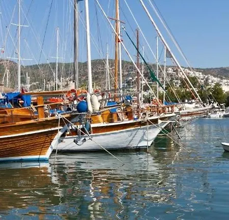 Lejlighedshotel Emelce 2*