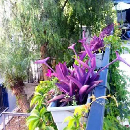 Aparthotel Emelce Bodrum