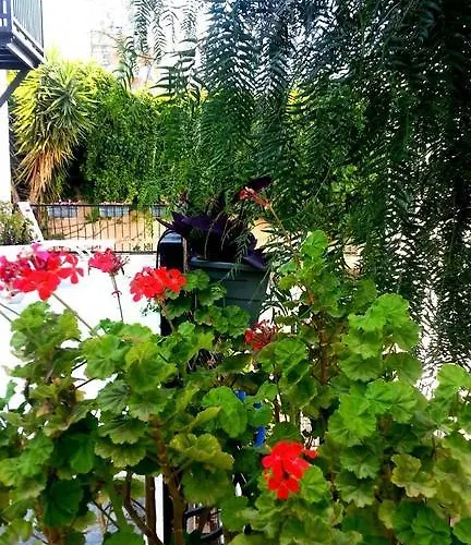 Emelce Apart Aparthotel